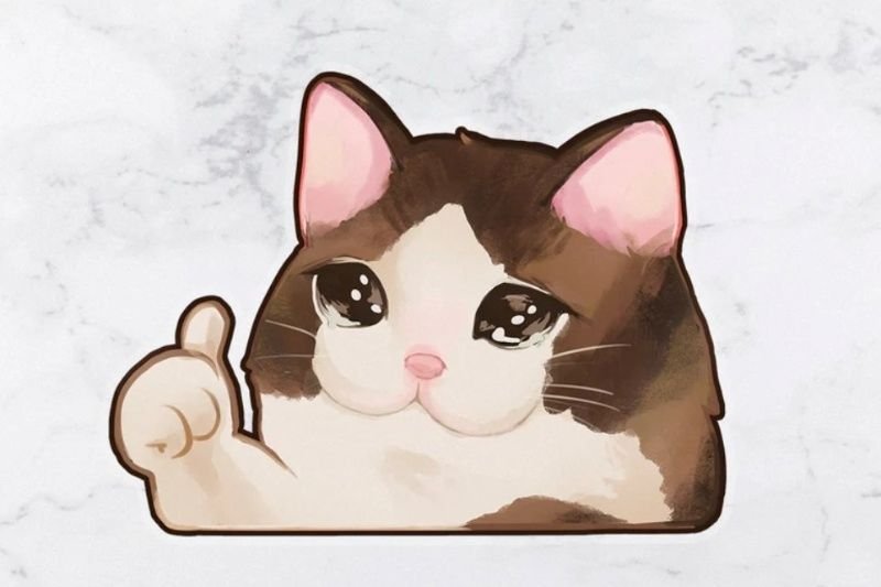 meme ok gây cười cực nhanh meme ok gây cười cực nhanh
