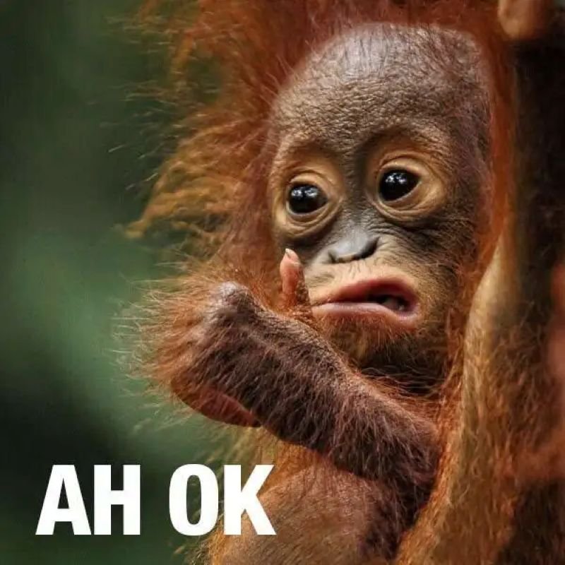 meme ok hài hước cực mạnh meme ok hài hước cực mạnh