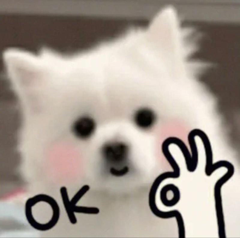 meme ok khoảnh khắc cười ra nước meme ok khoảnh khắc cười ra nước