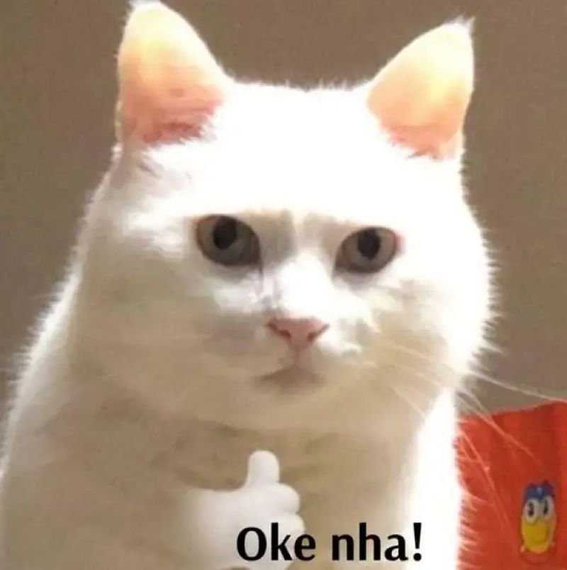 meme ok khoảnh khắc hài khó quên meme ok khoảnh khắc hài khó quên