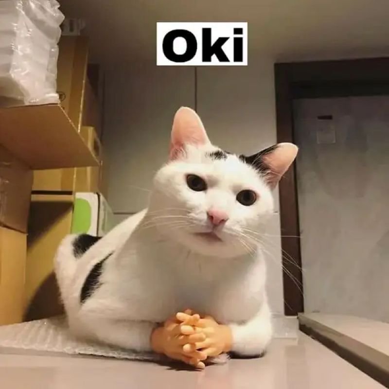 meme ok loạt meme cười cực đã meme ok loạt meme cười cực đã