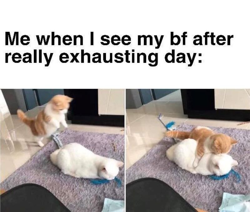 meme ôm cute nhìn cực kỳ ấm áp meme ôm cute nhìn cực kỳ ấm áp
