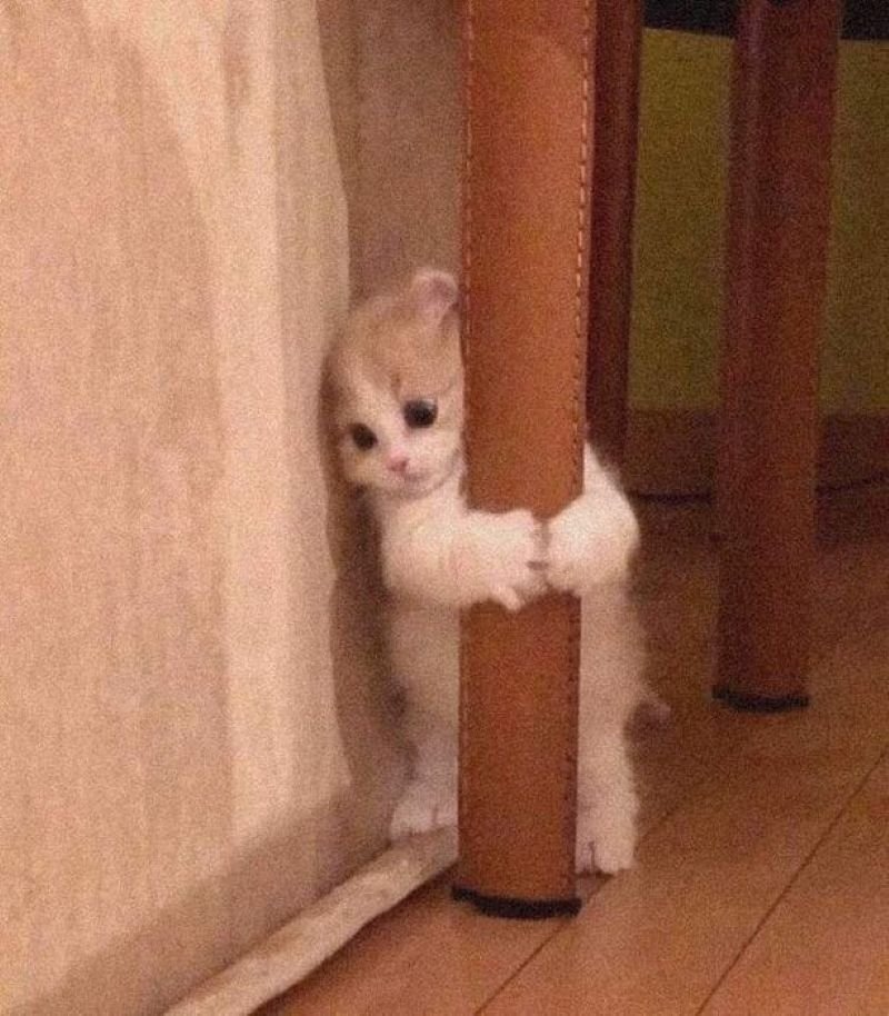 meme ôm đáng yêu dành cho crush meme ôm đáng yêu dành cho crush