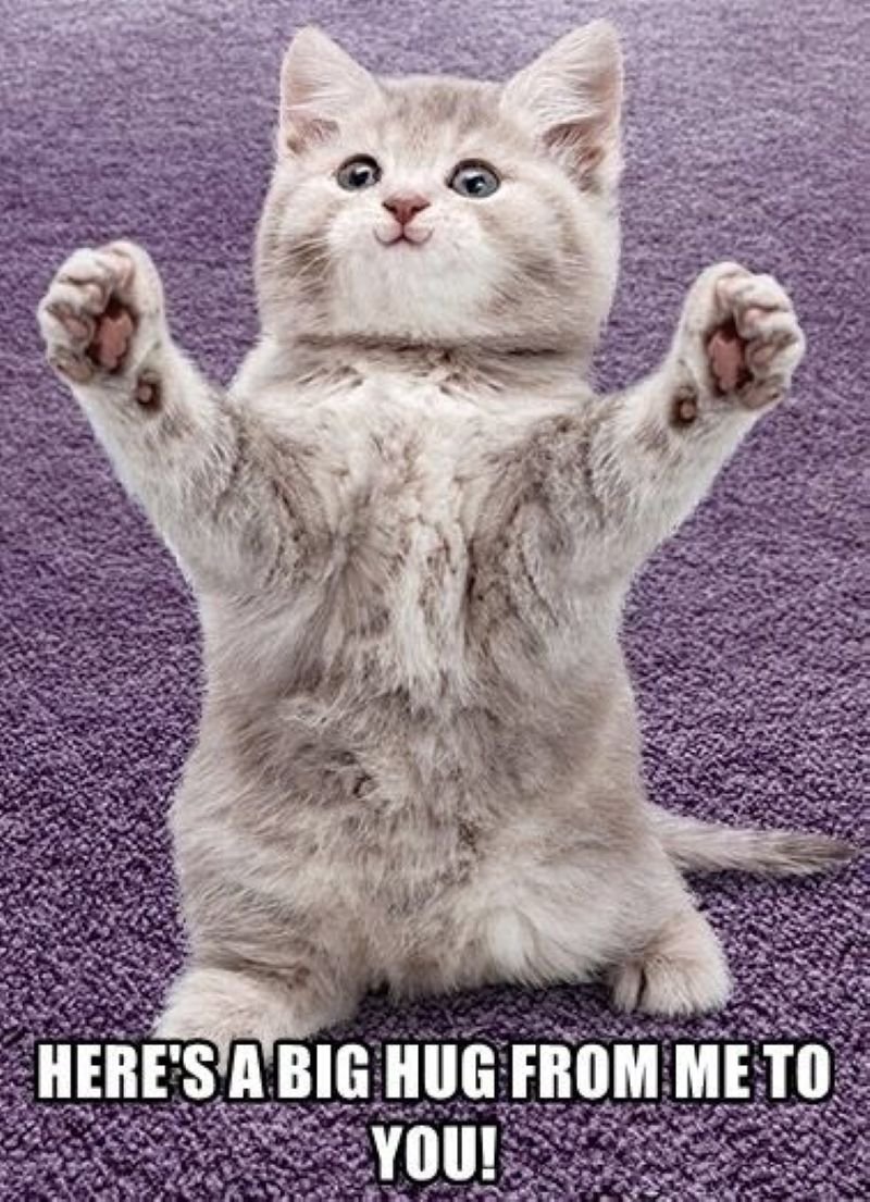 meme ôm hài hước đang được yêu thích meme ôm hài hước đang được yêu thích