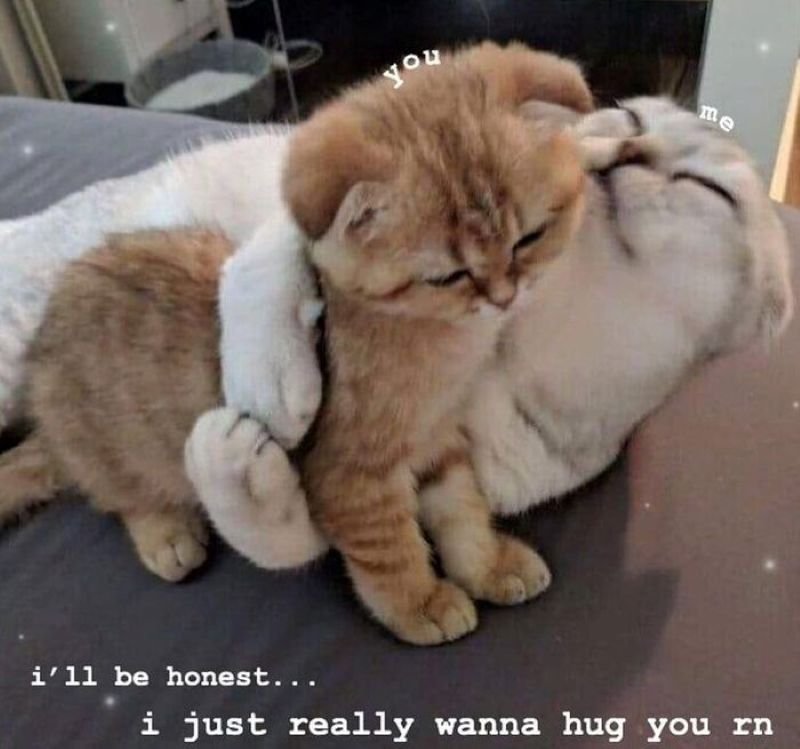 meme ôm hài hước xem xong bật cười meme ôm hài hước xem xong bật cười
