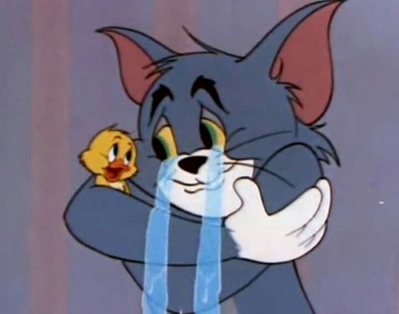 meme ôm ngọt ngào khiến ai cũng mê meme ôm ngọt ngào khiến ai cũng mê