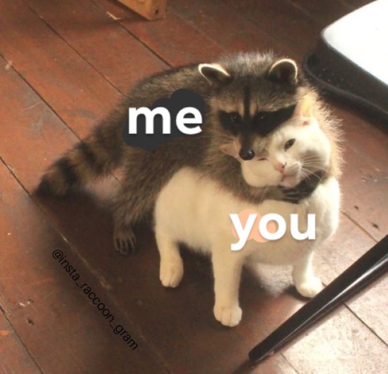 meme ôm ngọt ngào khiến tim tan chảy meme ôm ngọt ngào khiến tim tan chảy