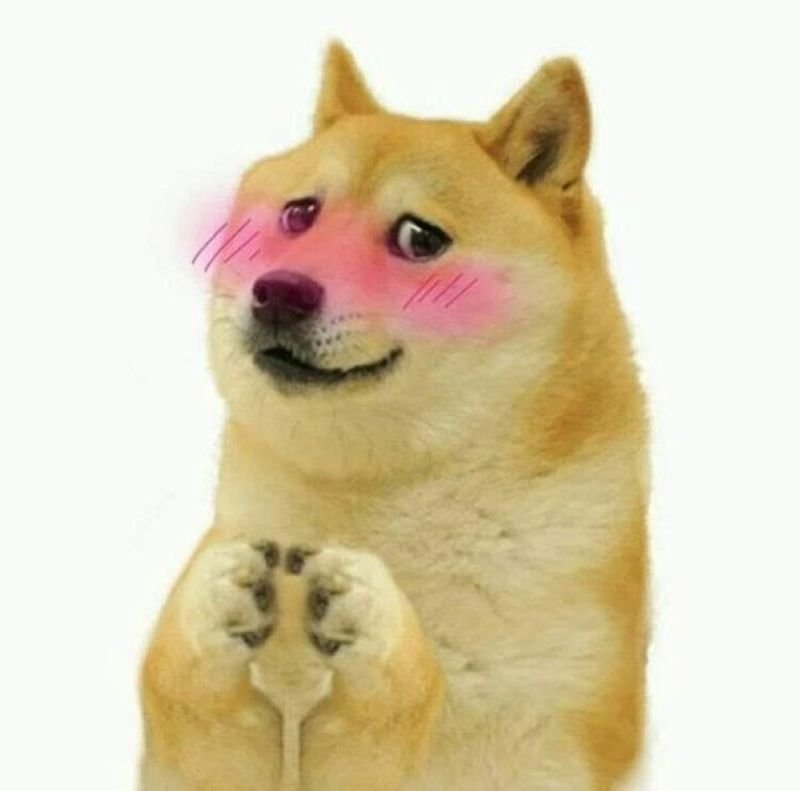 meme ôm nhau cực cute và vui nhộn meme ôm nhau cực cute và vui nhộn