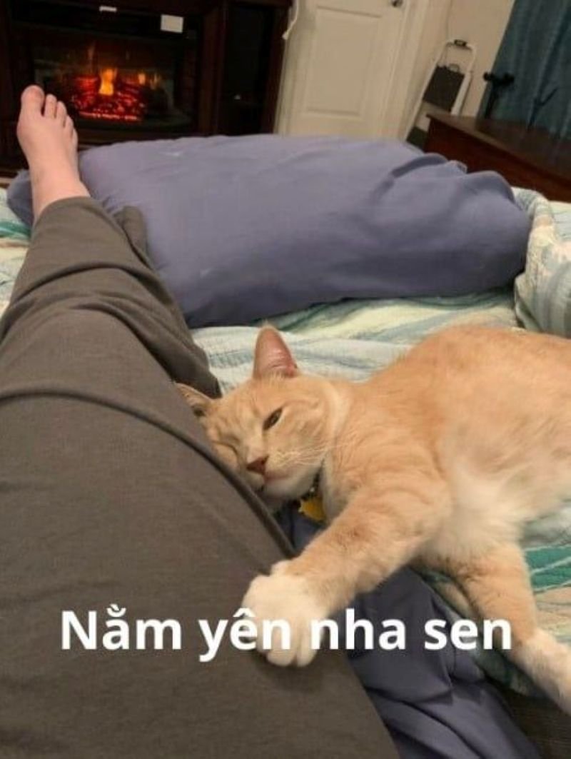 meme ôm nhau siêu dễ thương viral meme ôm nhau siêu dễ thương viral