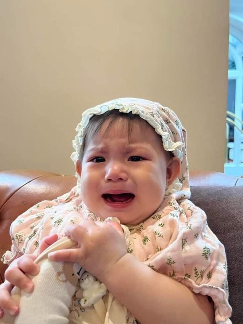 meme pam ảnh chế được chia sẻ nhiều