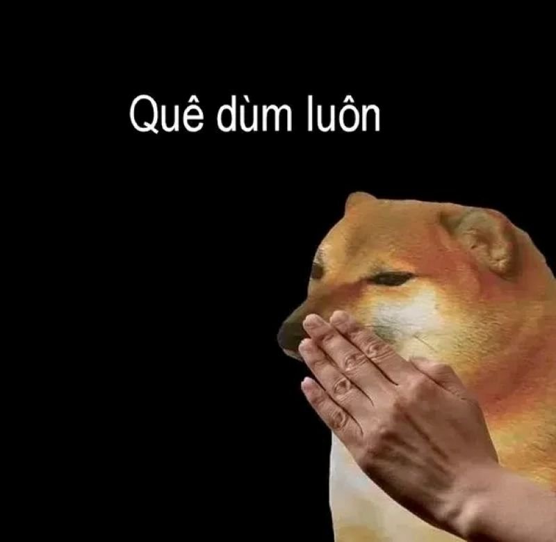 meme quê cực phẩm dành cho dân mạng meme quê cực phẩm dành cho dân mạng
