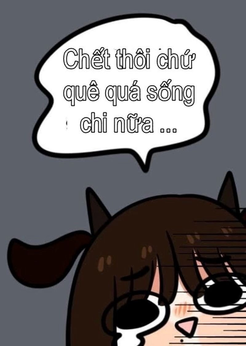 meme quê hài độc lạ cực cuốn meme quê hài độc lạ cực cuốn