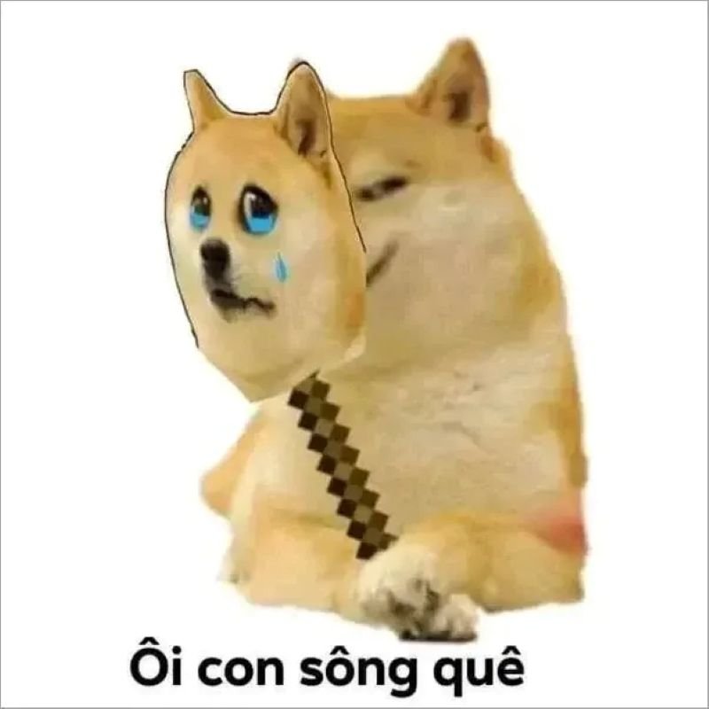 meme quê hài hước khiến bạn cười lớn meme quê hài hước khiến bạn cười lớn
