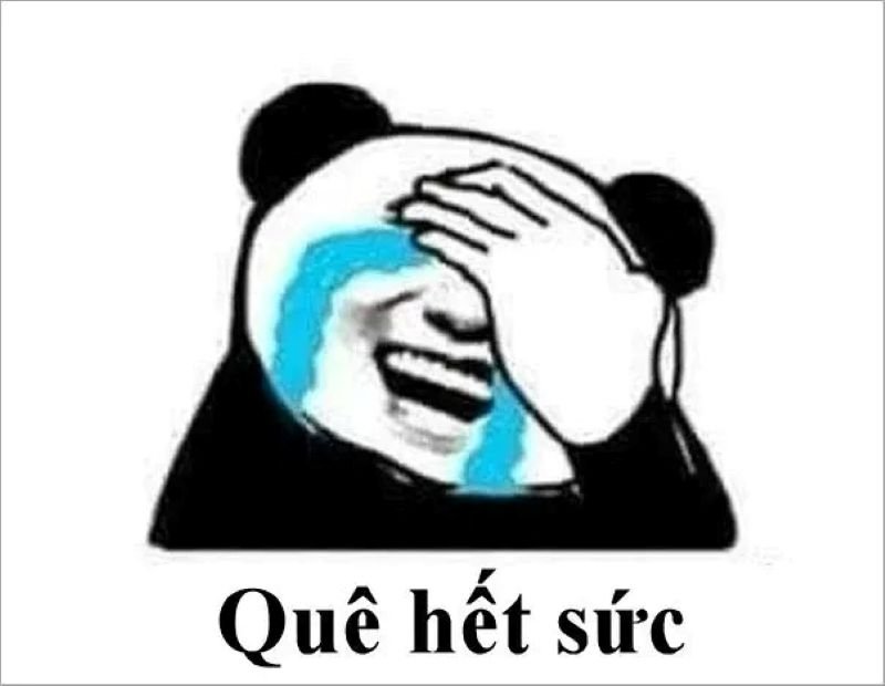 meme quê hài hước nổi bật trên mạng meme quê hài hước nổi bật trên mạng