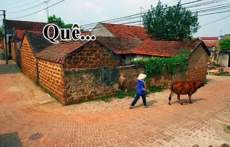 meme quê với biểu cảm cực hài meme quê với biểu cảm cực hài