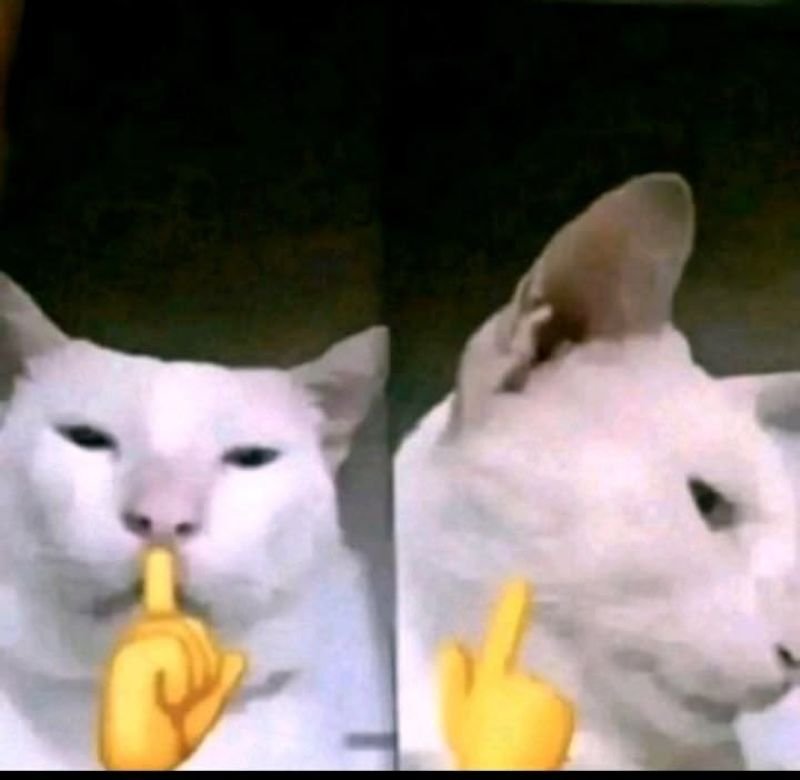 meme sigma cực chất dành cho giới trẻ meme sigma cực chất dành cho giới trẻ