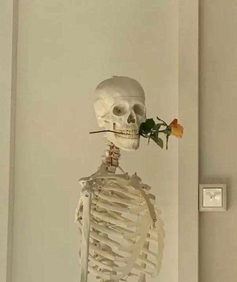 meme skeleton biểu cảm đầy mệt mỏi meme skeleton biểu cảm đầy mệt mỏi