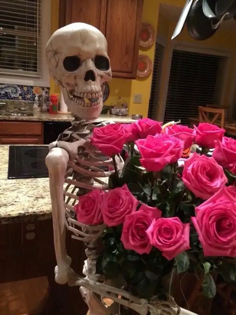 meme skeleton biểu cảm khó đỡ meme skeleton biểu cảm khó đỡ