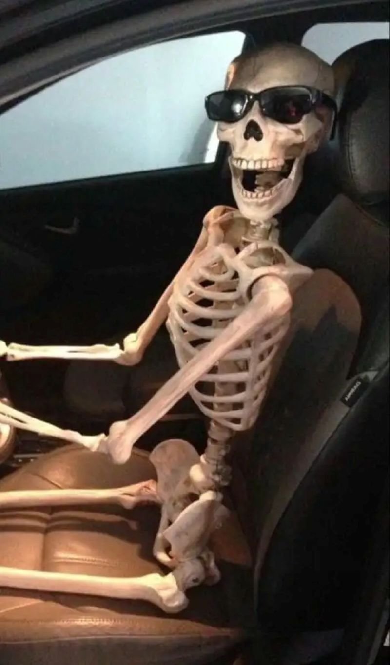 meme skeleton cười bất lực cực hài meme skeleton cười bất lực cực hài