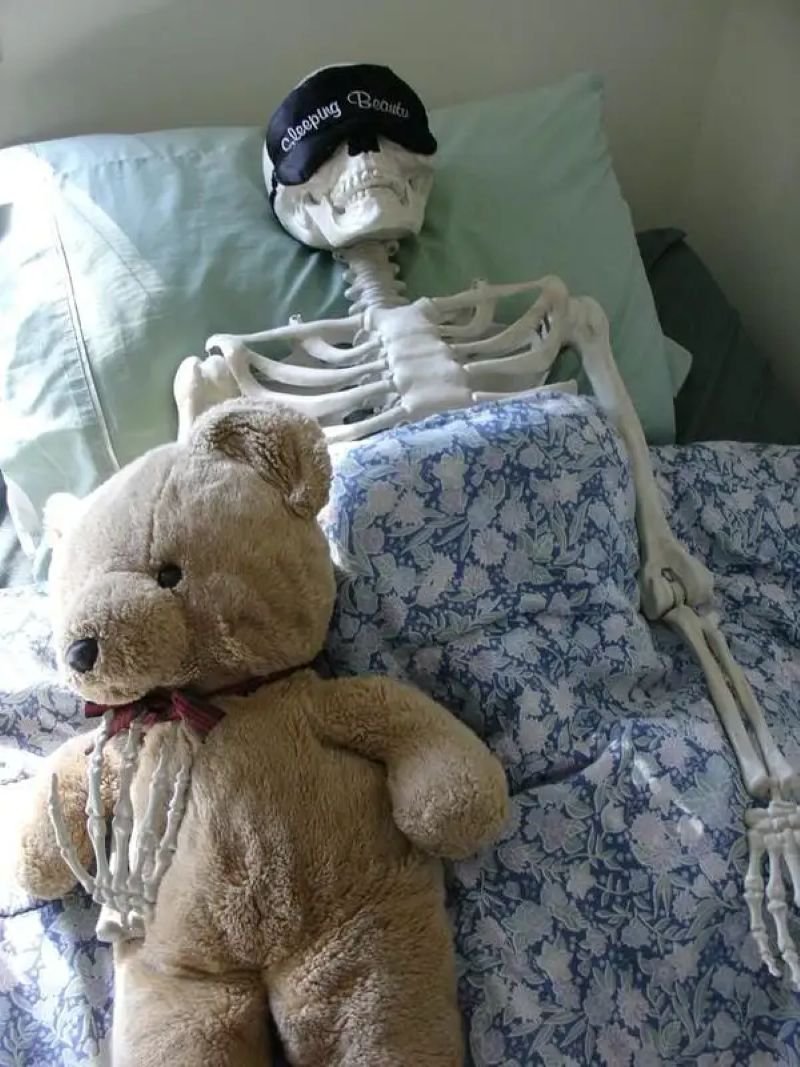 meme skeleton cười ra nước mắt meme skeleton cười ra nước mắt
