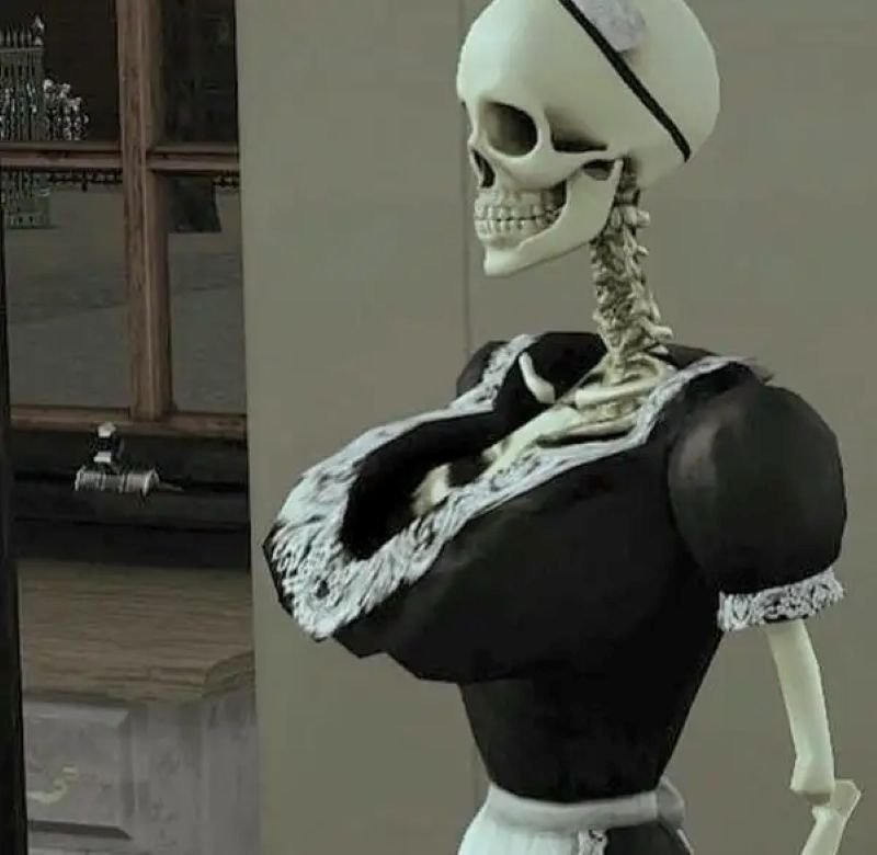 meme skeleton cười trong nước mắt meme skeleton cười trong nước mắt