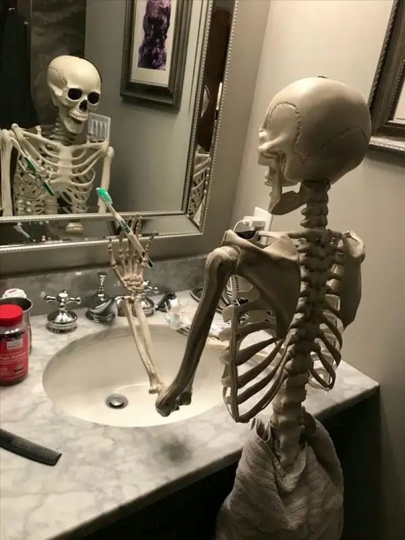 meme skeleton dành cho dân thất tình meme skeleton dành cho dân thất tình