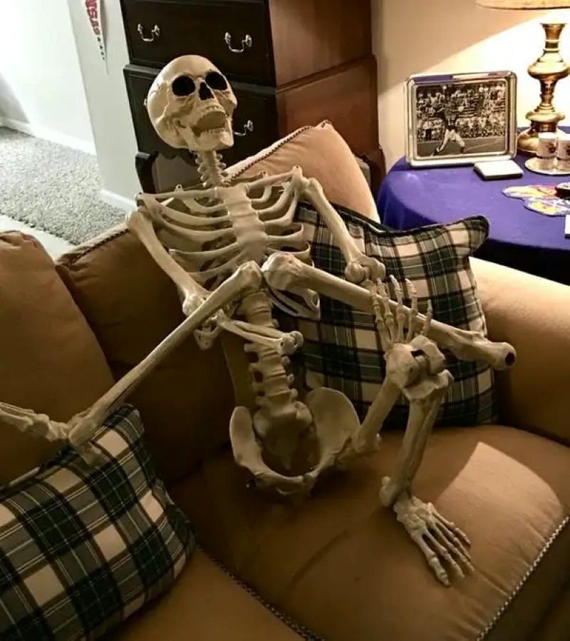 meme skeleton dành cho hội độc thân meme skeleton dành cho hội độc thân
