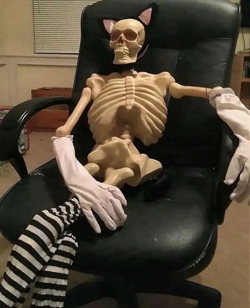 meme skeleton dành cho người hướng nội meme skeleton dành cho người hướng nội