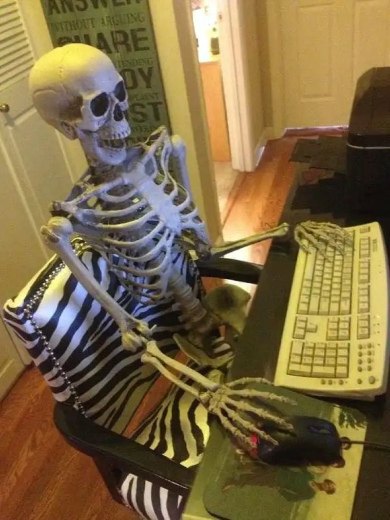 meme skeleton hài hước cực viral meme skeleton hài hước cực viral