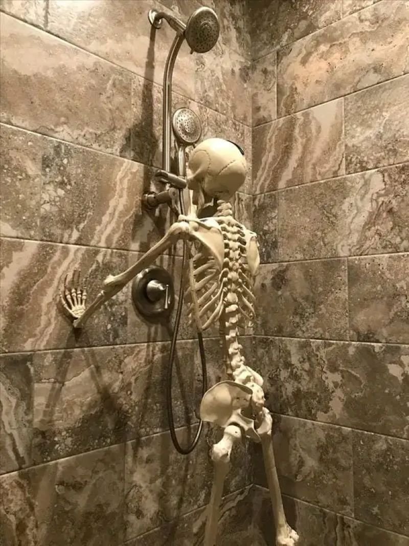 meme skeleton hài hước khó đỡ meme skeleton hài hước khó đỡ