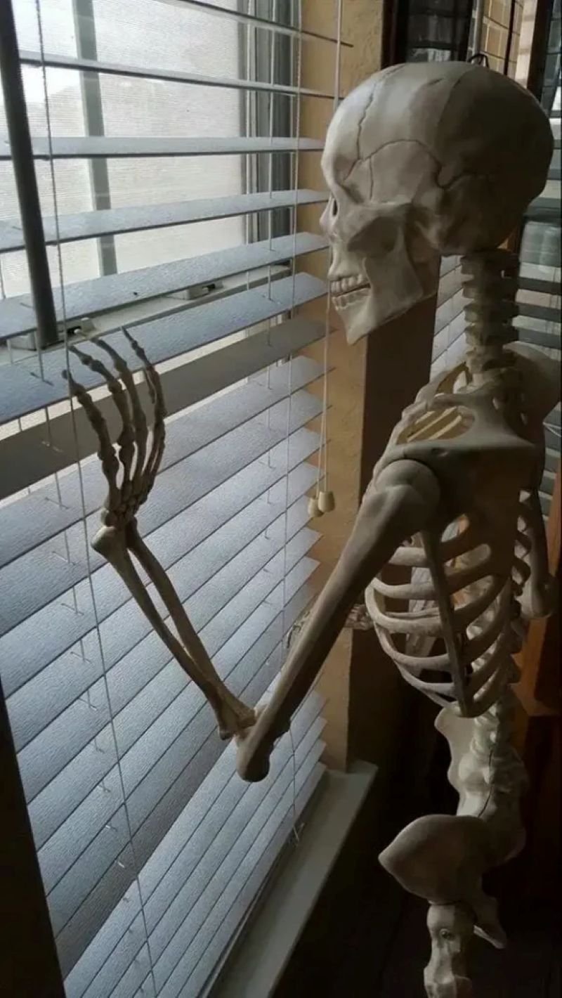 meme skeleton hài viral mới nhất meme skeleton hài viral mới nhất