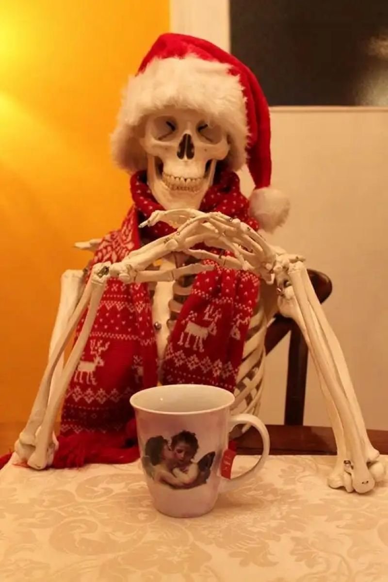 meme skeleton khi cuộc đời bế tắc meme skeleton khi cuộc đời bế tắc