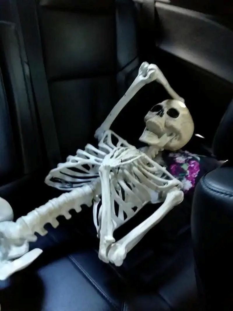 meme skeleton khi deadline dí sát meme skeleton khi deadline dí sát