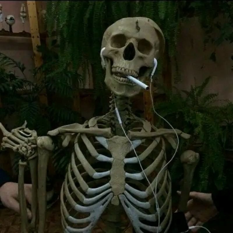 meme skeleton khi gặp chuyện bất ngờ meme skeleton khi gặp chuyện bất ngờ