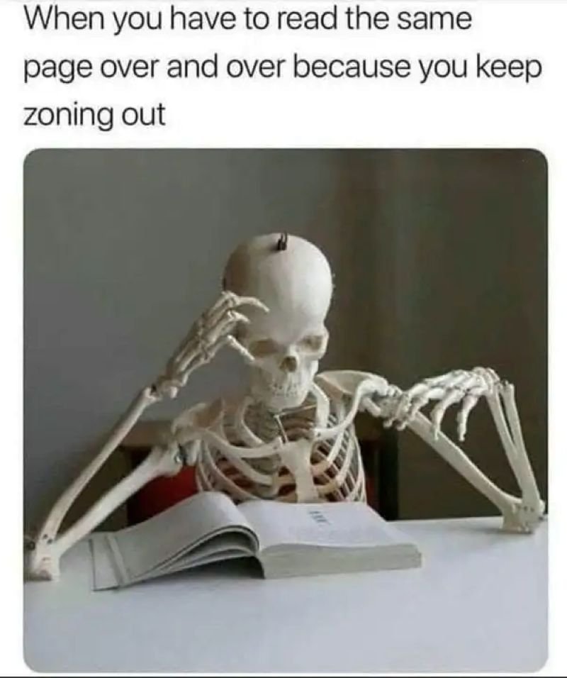 meme skeleton khi tiền vừa hết meme skeleton khi tiền vừa hết