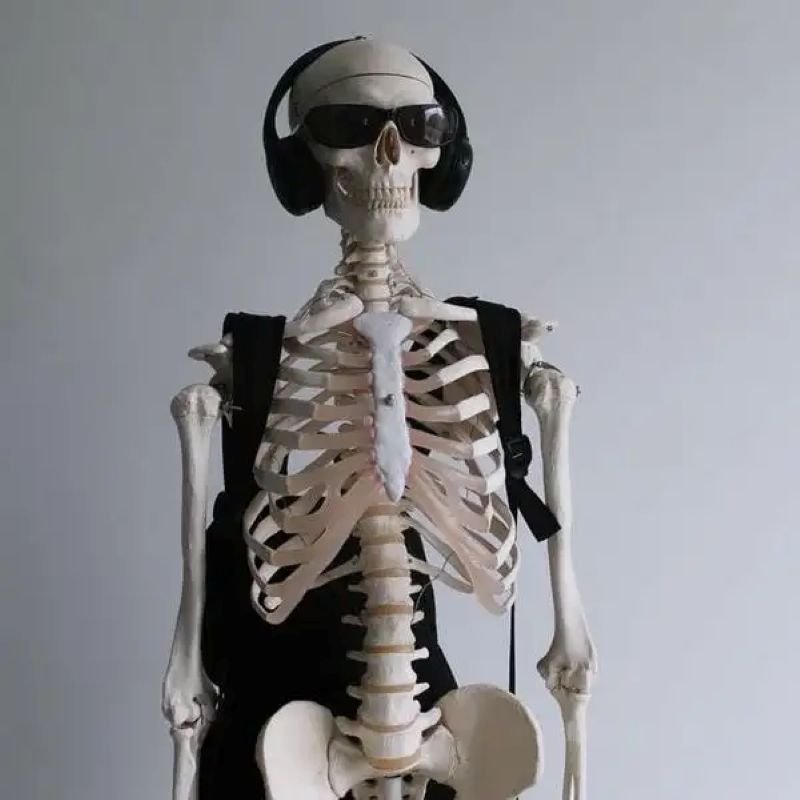 meme skeleton khoảnh khắc hài hước meme skeleton khoảnh khắc hài hước
