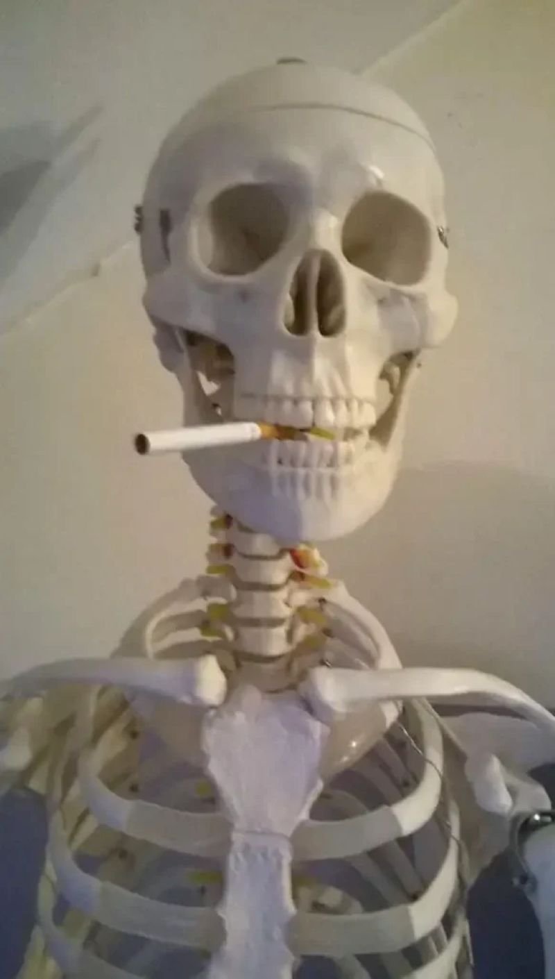 meme skeleton nhìn là muốn cười meme skeleton nhìn là muốn cười