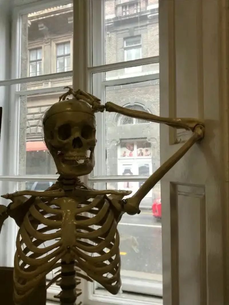 meme skeleton reaction siêu hài meme skeleton reaction siêu hài