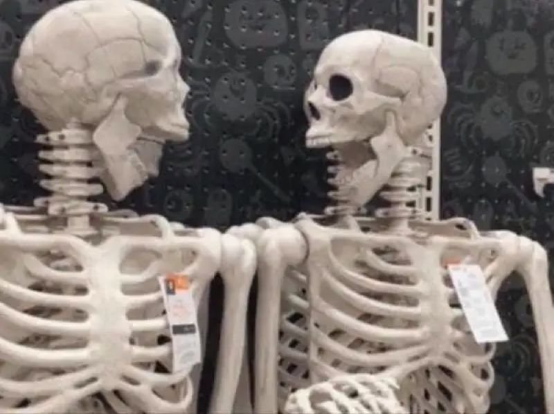meme skeleton tình huống cực oái oăm meme skeleton tình huống cực oái oăm