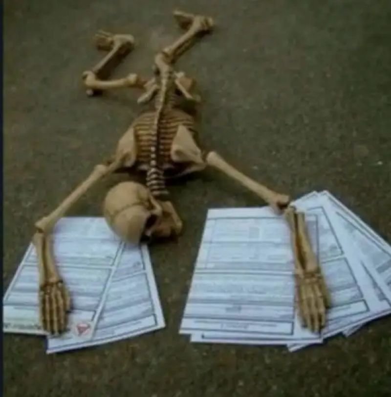 meme skeleton troll bạn bè cực chất meme skeleton troll bạn bè cực chất