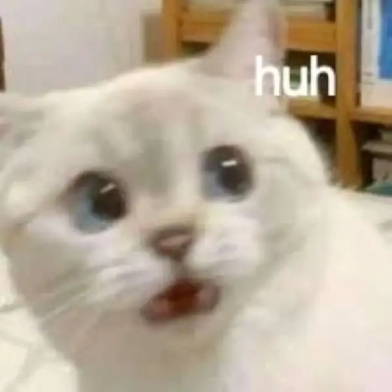 meme sợ hãi biểu cảm cực kỳ hài meme sợ hãi biểu cảm cực kỳ hài