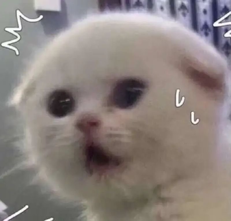 meme sợ hãi dành cho khoảnh khắc bất ngờ meme sợ hãi dành cho khoảnh khắc bất ngờ