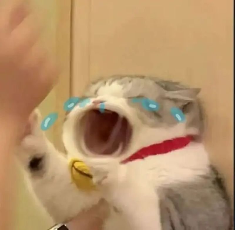meme sợ hãi khi cuộc đời trêu ngươi meme sợ hãi khi cuộc đời trêu ngươi