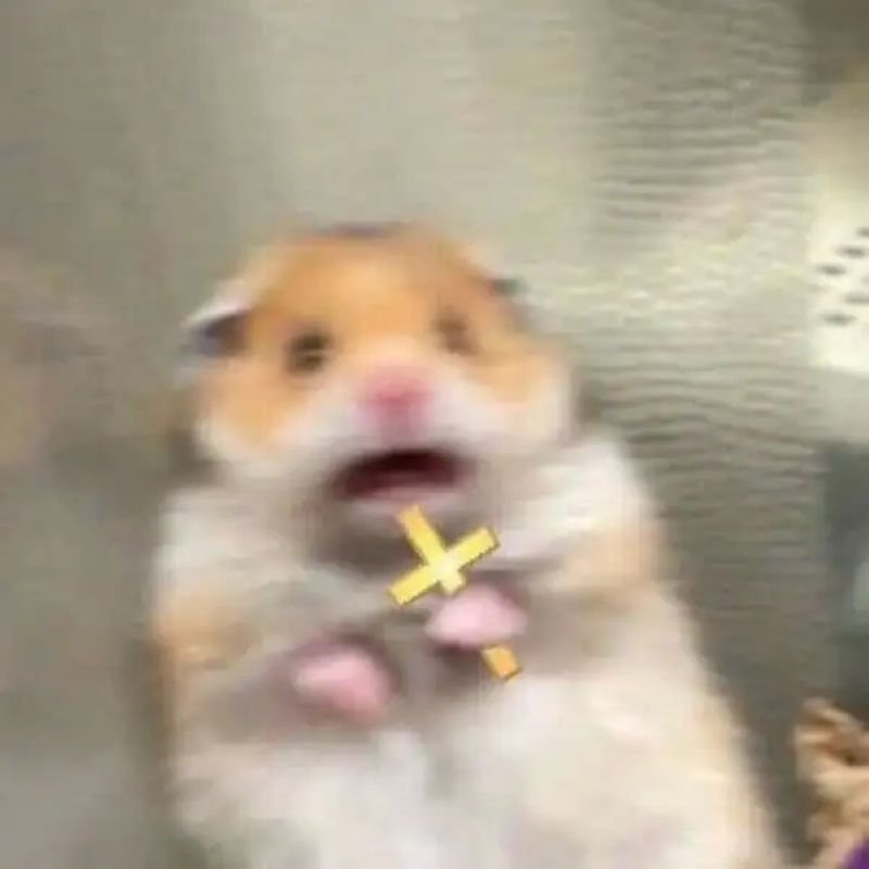 meme sợ hãi khiến ai cũng cười meme sợ hãi khiến ai cũng cười