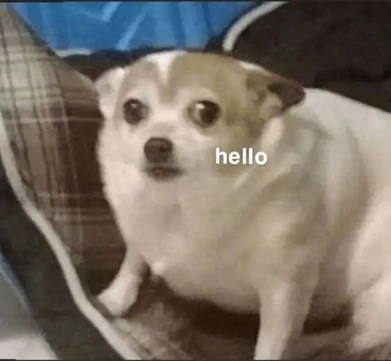 meme sợ hãi khiến dân mạng thích thú meme sợ hãi khiến dân mạng thích thú