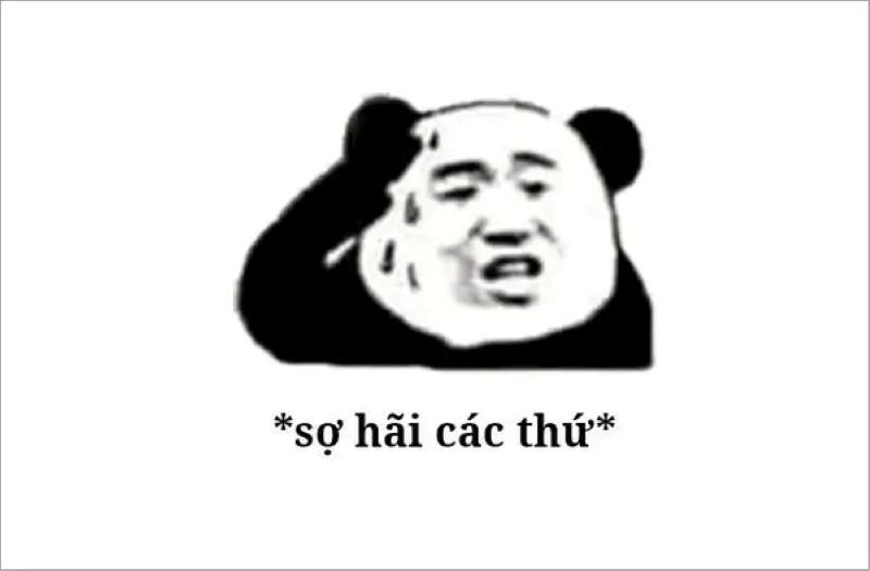 meme sợ hãi nhìn mà muốn bỏ chạy meme sợ hãi nhìn mà muốn bỏ chạy