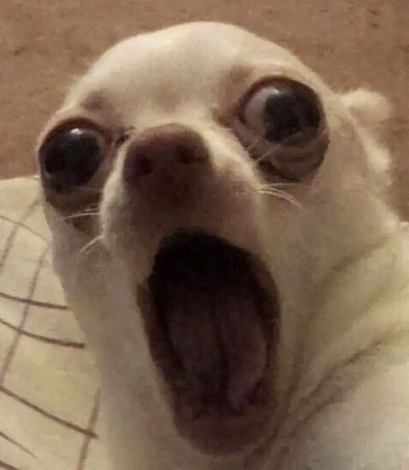 meme sợ hãi trước cảnh tượng đáng ngờ meme sợ hãi trước cảnh tượng đáng ngờ