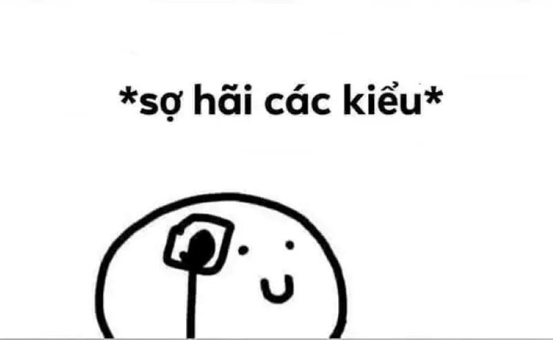 meme sợ hãi trước khoảnh khắc kinh hoàng meme sợ hãi trước khoảnh khắc kinh hoàng