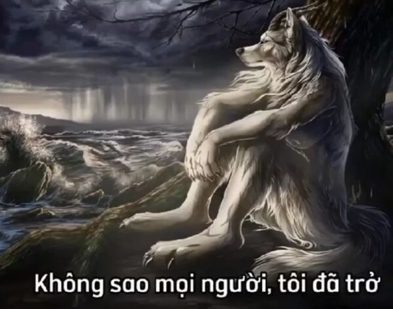 meme sói chất chơi không đụng hàng