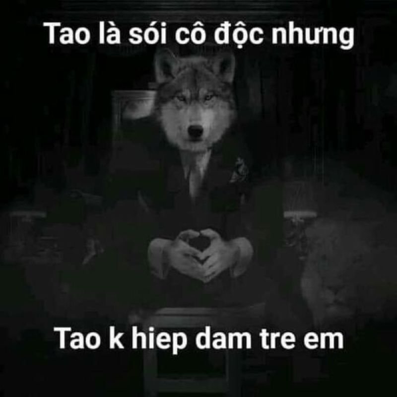 meme sói hài hước đang gây sốt
